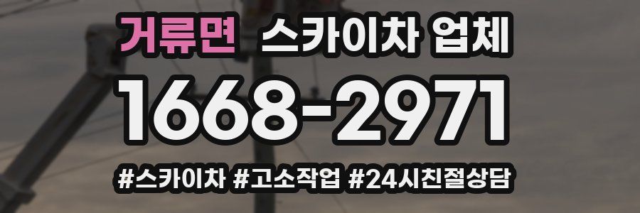 거류면 스카이차 업체