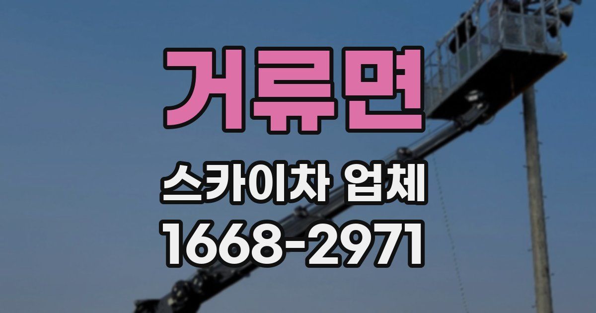 거류면 스카이차 업체