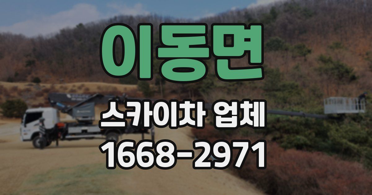 이동면 스카이차 업체