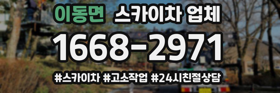 이동면 스카이차 업체