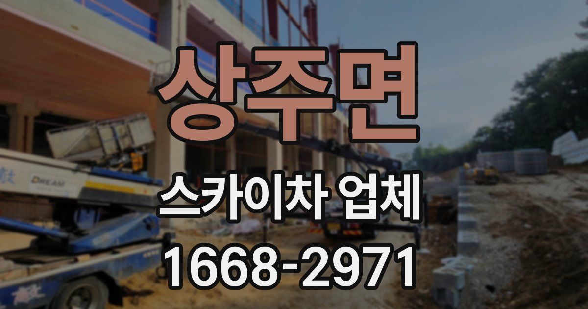 상주면 스카이차 업체