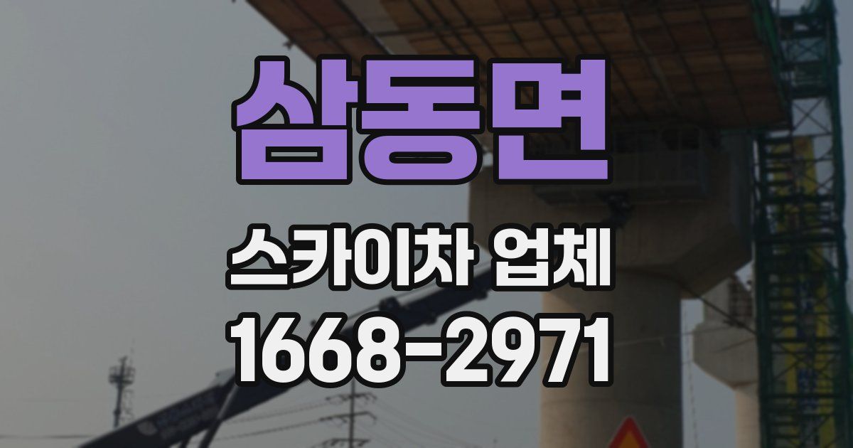 삼동면 스카이차 업체