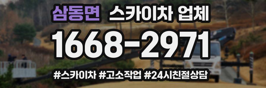 삼동면 스카이차 업체