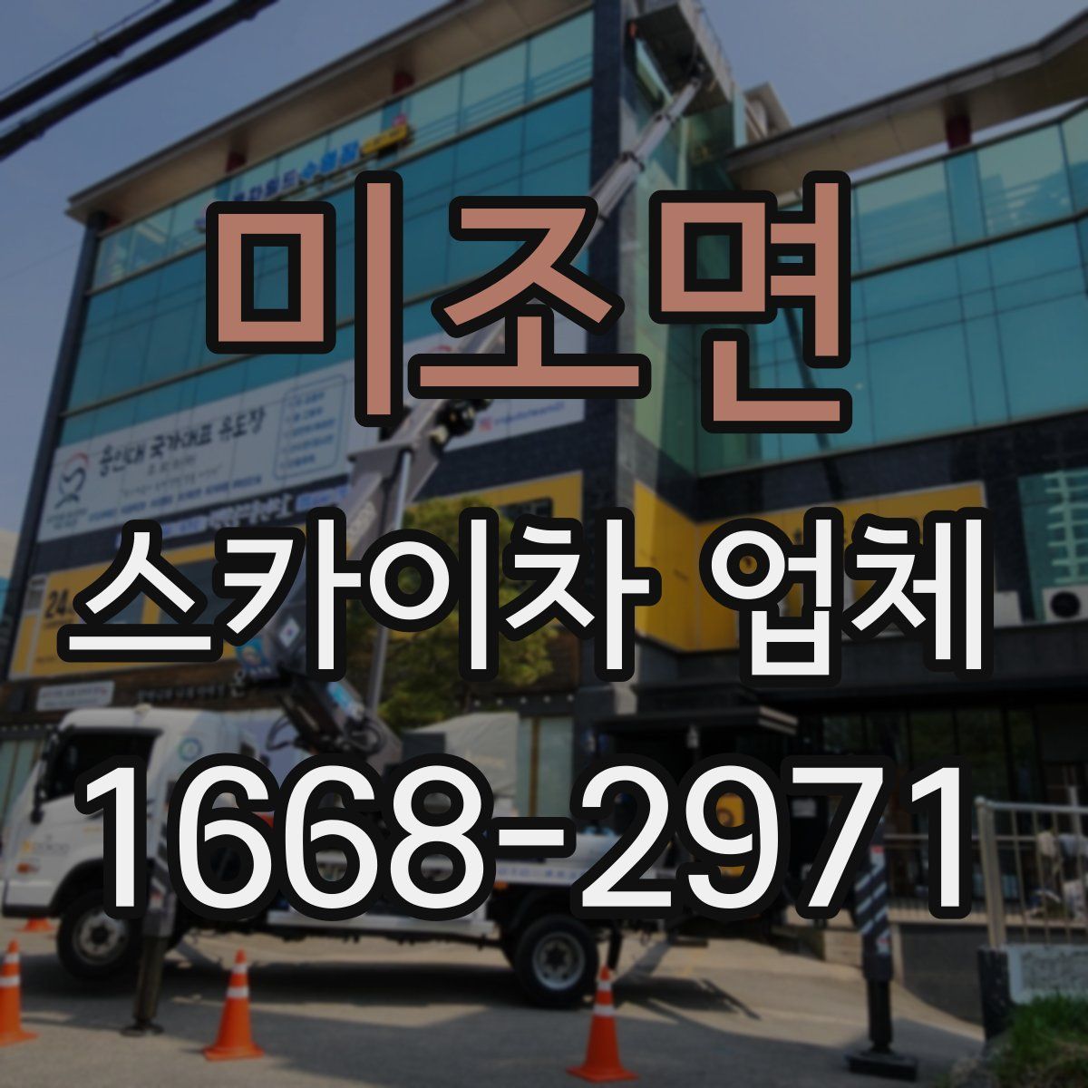 미조면 스카이차 업체