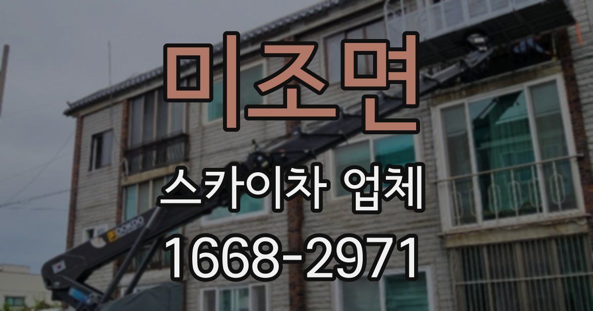 미조면 스카이차 업체