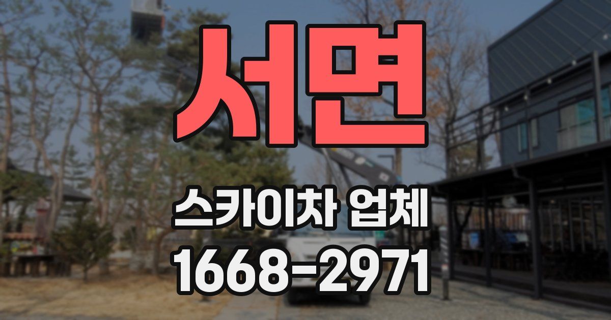 서면 스카이차 업체