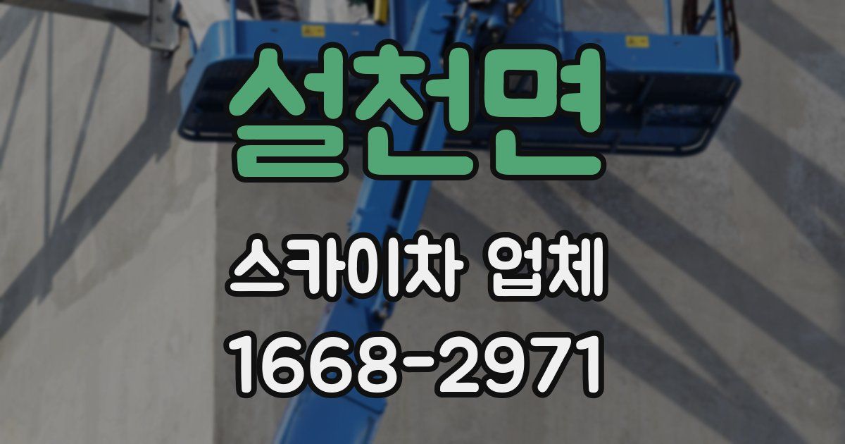 설천면 스카이차 업체