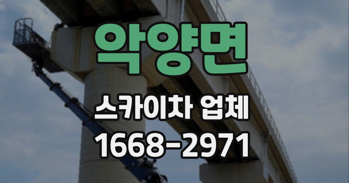 악양면 스카이차 업체