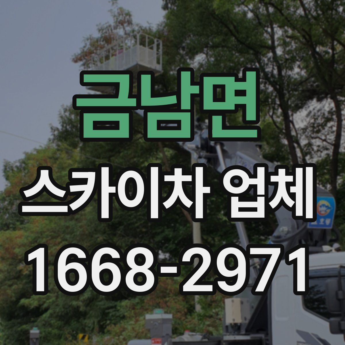 금남면 스카이차 업체