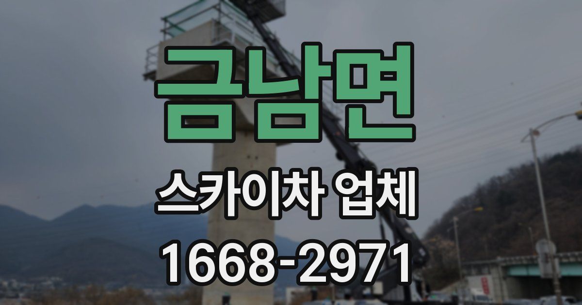 금남면 스카이차 업체