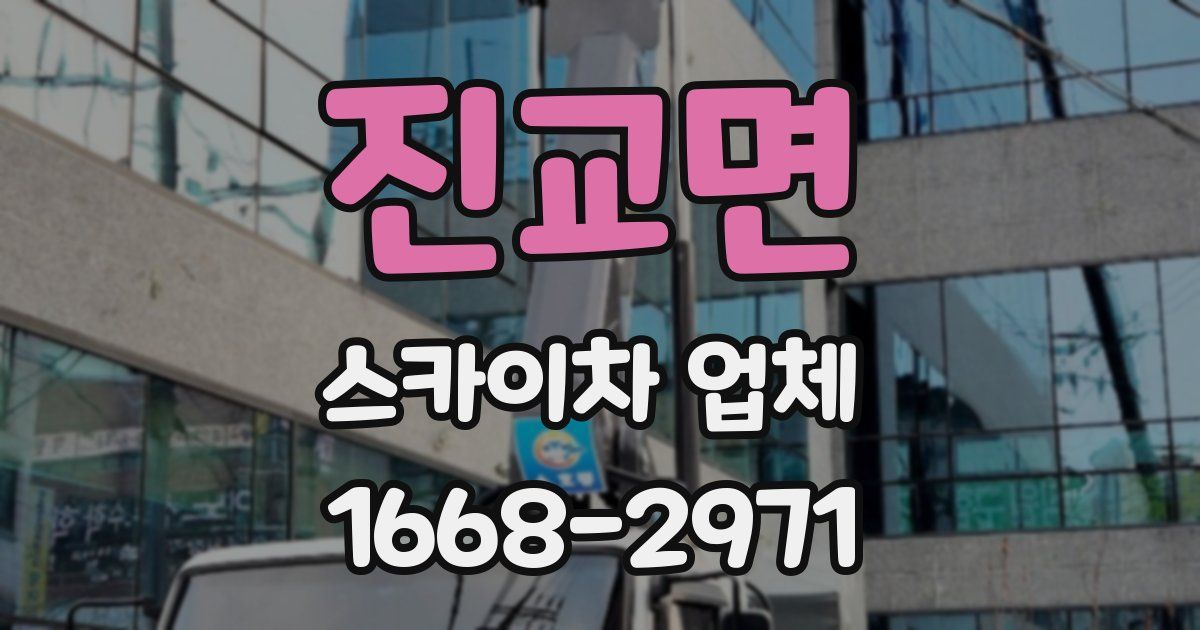진교면 스카이차 업체
