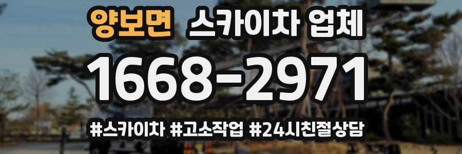 양보면 스카이차 업체