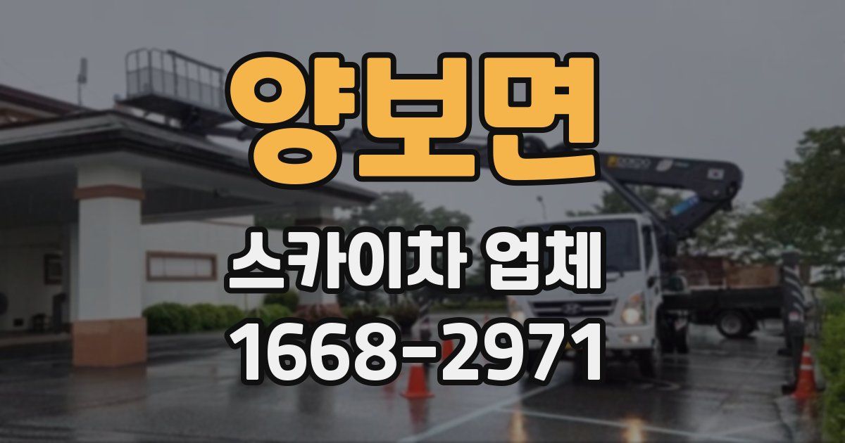 양보면 스카이차 업체