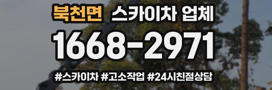 북천면 스카이차 업체