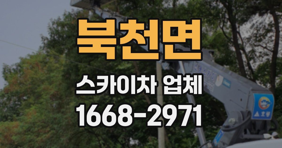 북천면 스카이차 업체