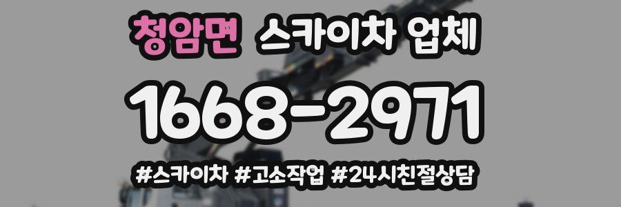 청암면 스카이차 업체