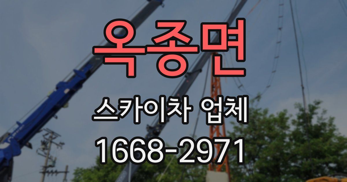 옥종면 스카이차 업체