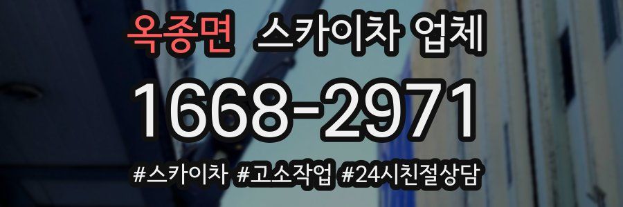 옥종면 스카이차 업체