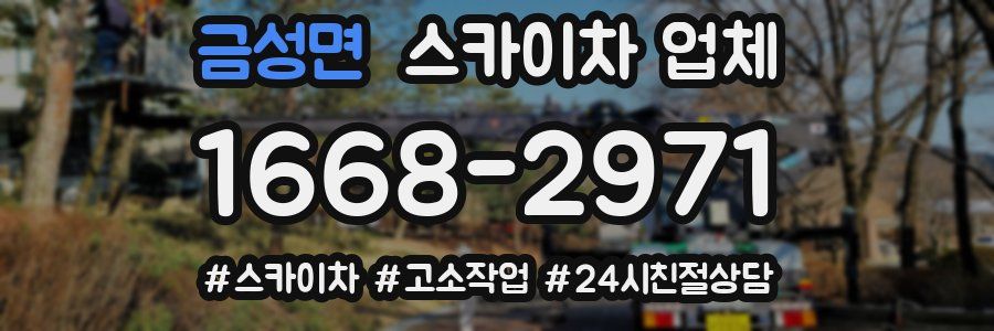 금성면 스카이차 업체