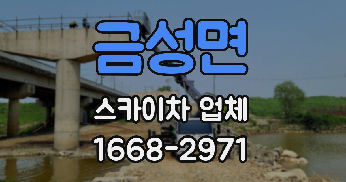 금성면 스카이차 업체