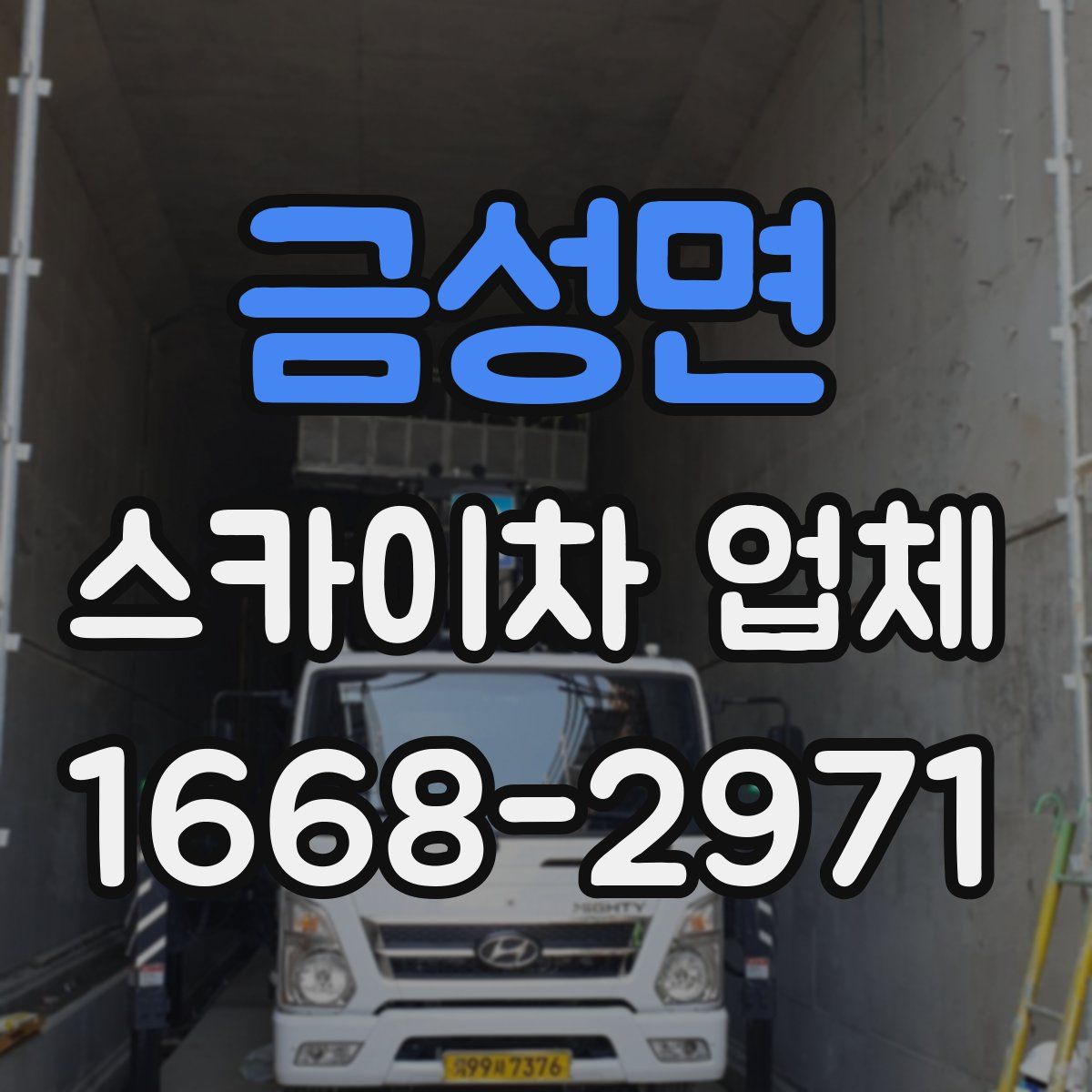 금성면 스카이차 업체