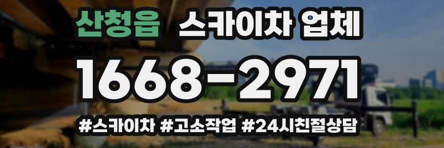 산청읍 스카이차 업체