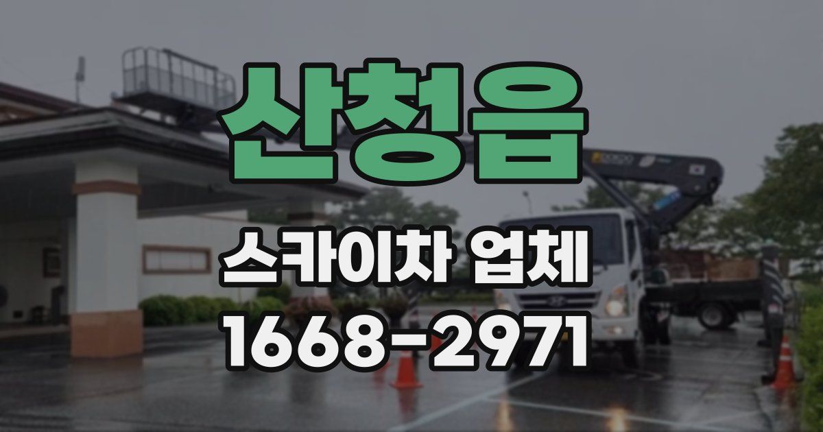 산청읍 스카이차 업체