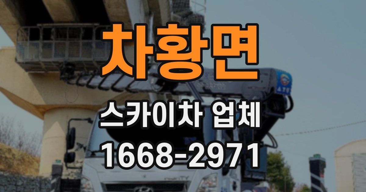 차황면 스카이차 업체