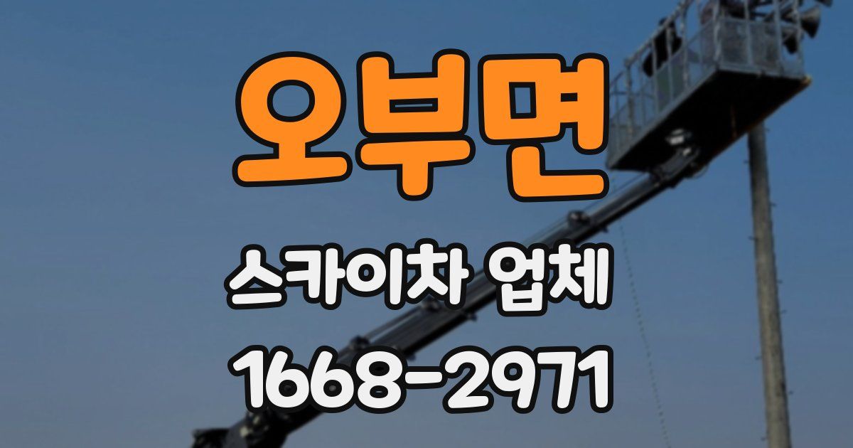 오부면 스카이차 업체