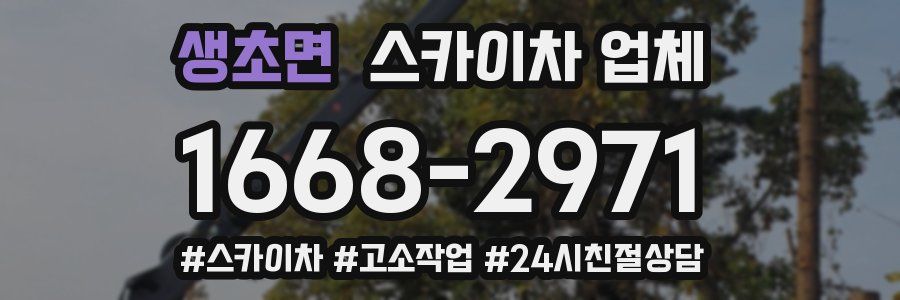생초면 스카이차 업체