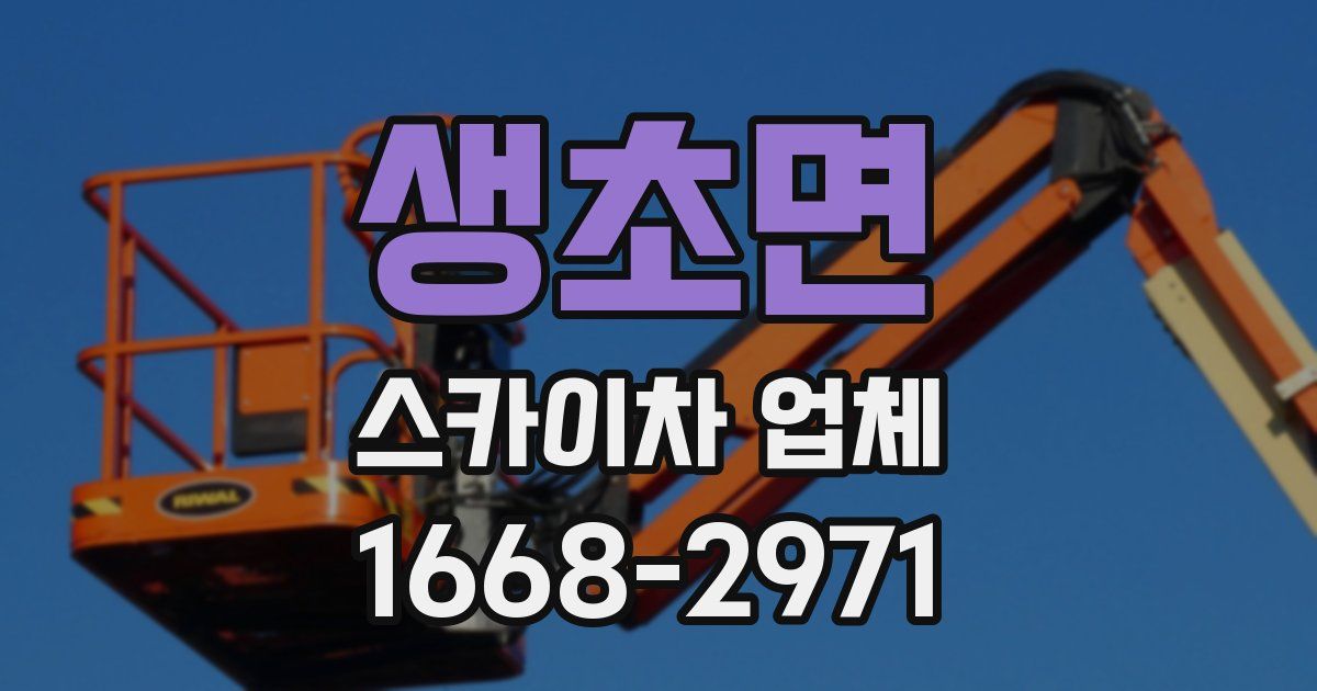 생초면 스카이차 업체