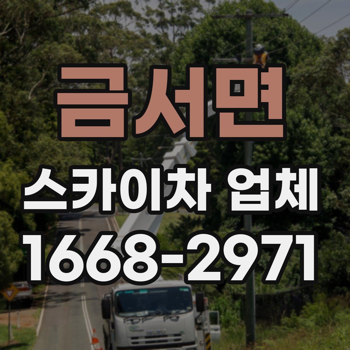 금서면 스카이차 업체 비교 시 놓치지 말아야 할 포인트