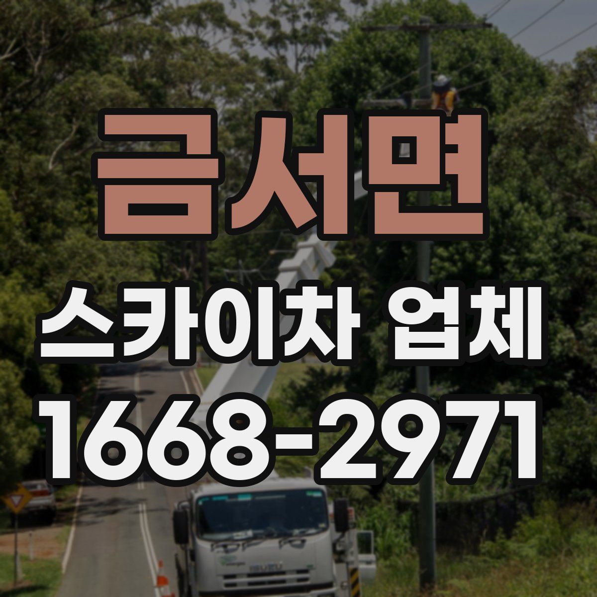 금서면 스카이차 업체