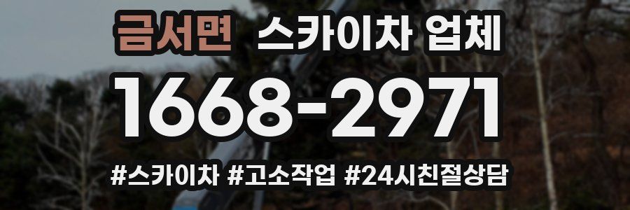 금서면 스카이차 업체