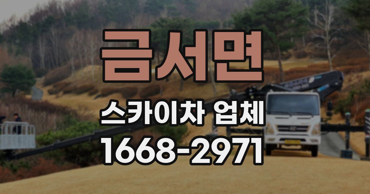 금서면 스카이차 업체