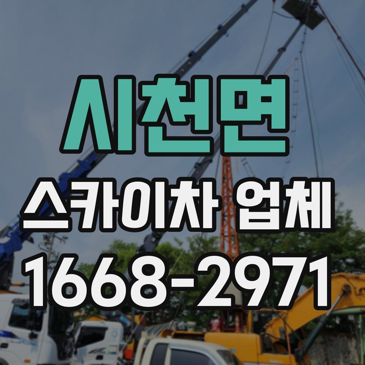 시천면 스카이차 업체