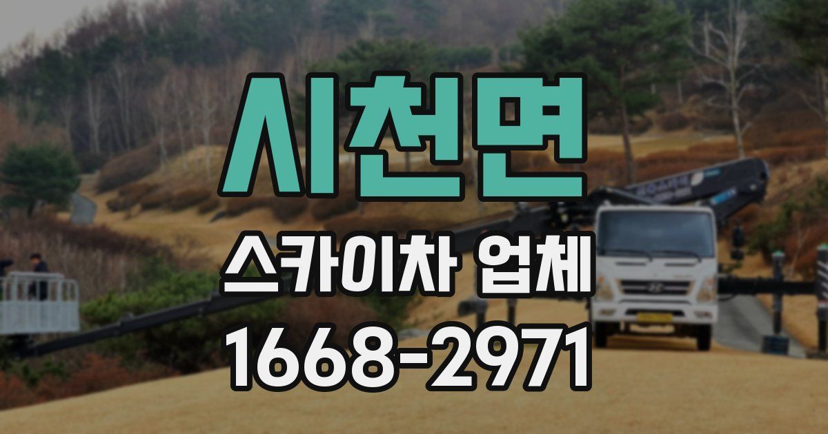 시천면 스카이차 업체
