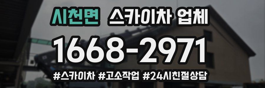 시천면 스카이차 업체