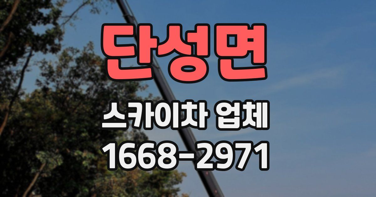 단성면 스카이차 업체