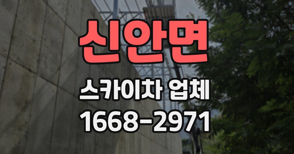 신안면 스카이차 업체