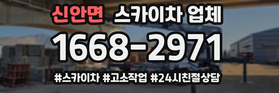 신안면 스카이차 업체