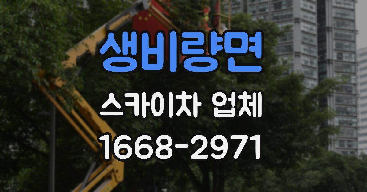 생비량면 스카이차 업체