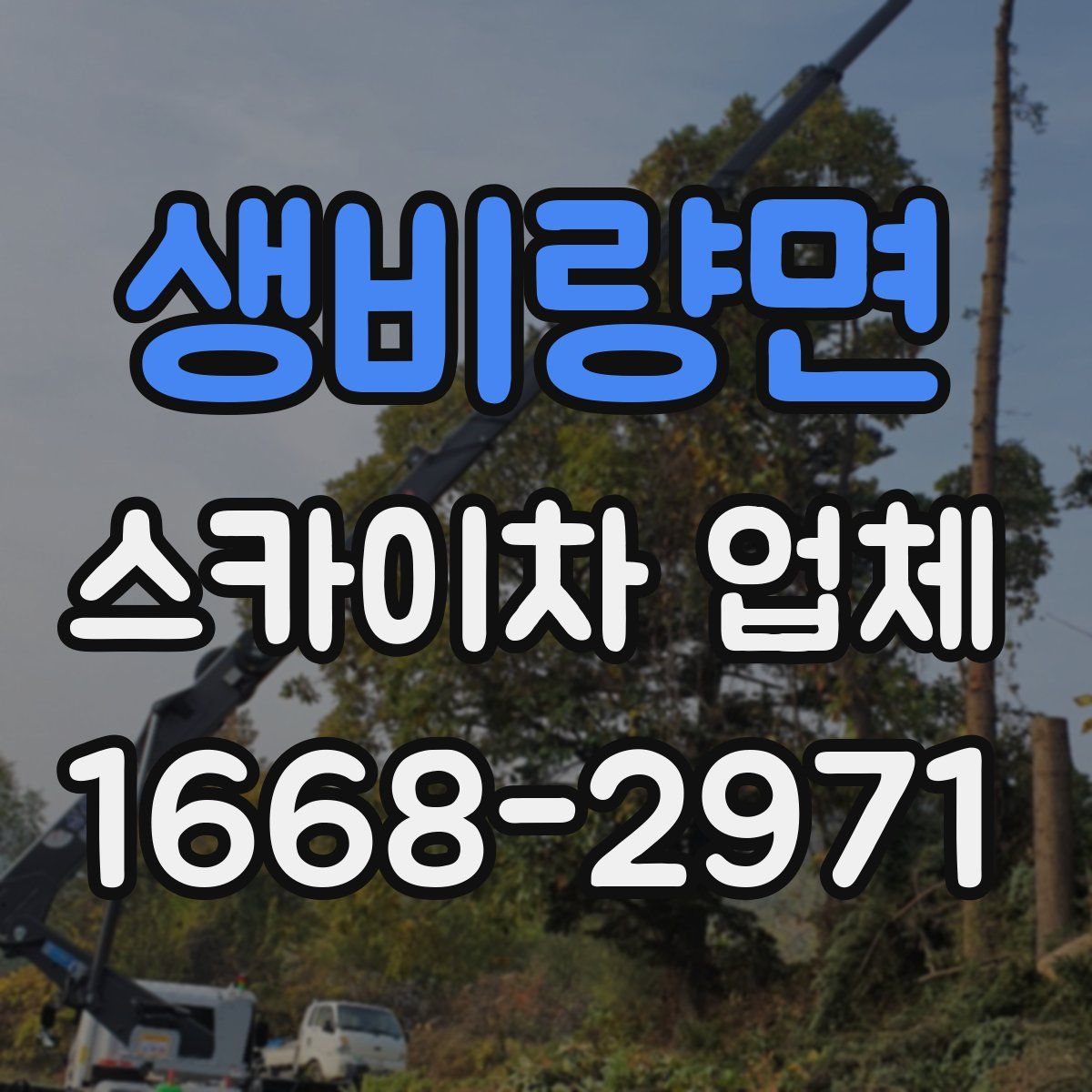 생비량면 스카이차 업체