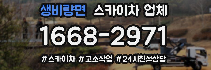 생비량면 스카이차 업체