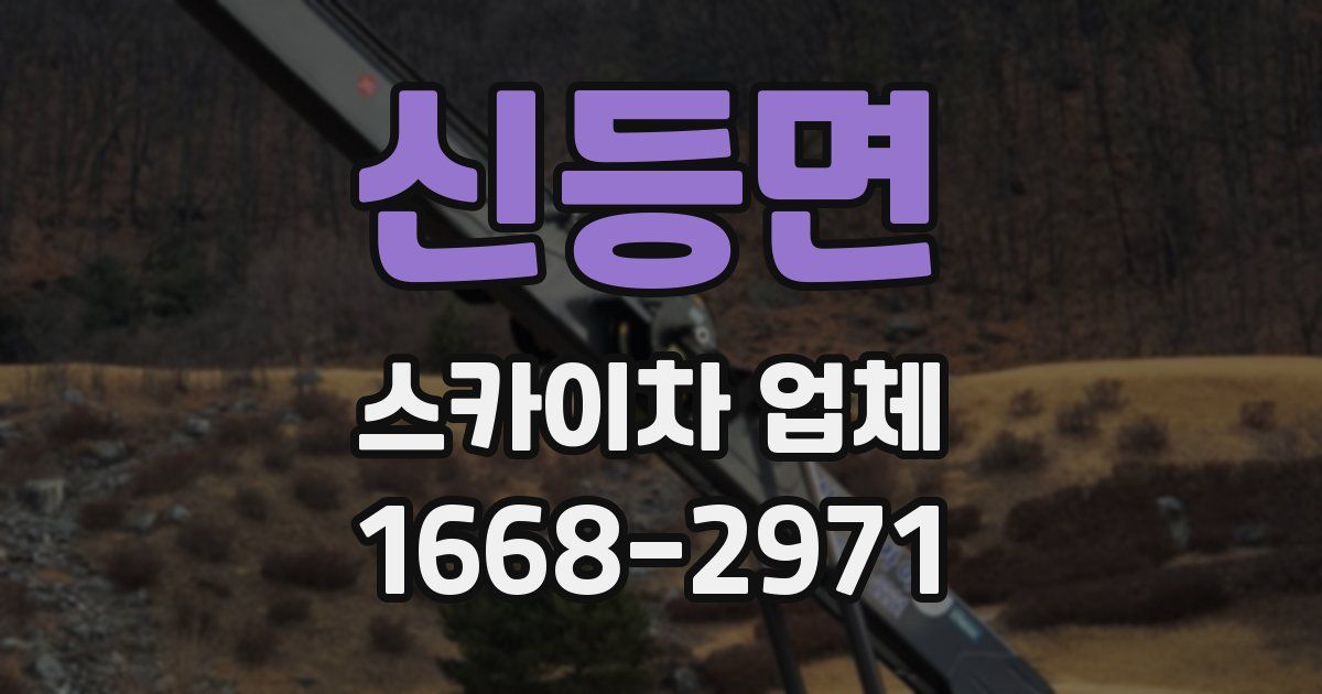 신등면 스카이차 업체