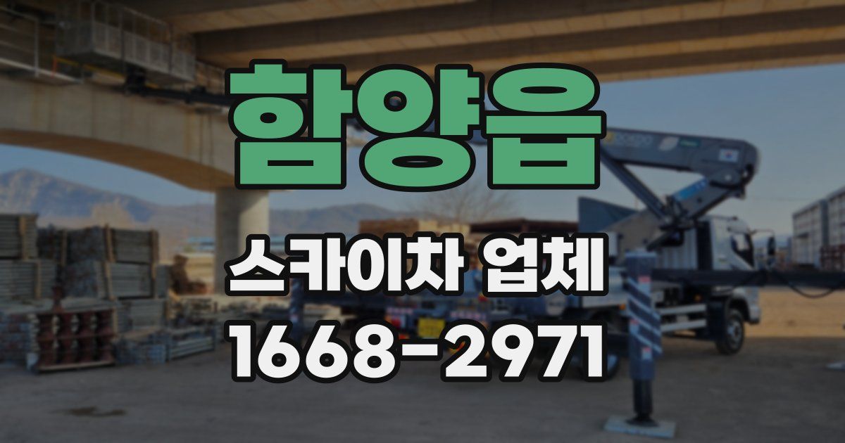 함양읍 스카이차 업체