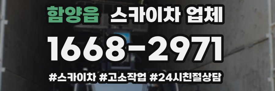 함양읍 스카이차 업체