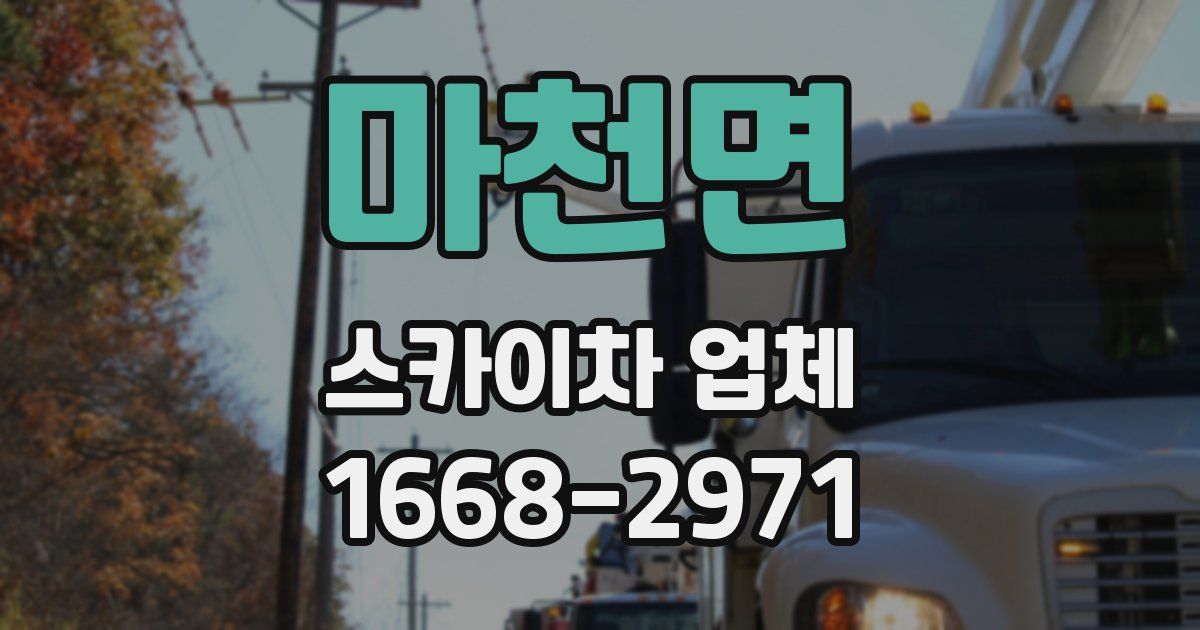마천면 스카이차 업체