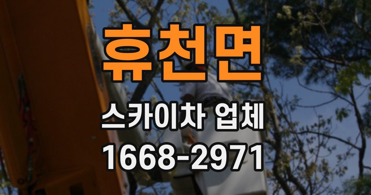 휴천면 스카이차 업체