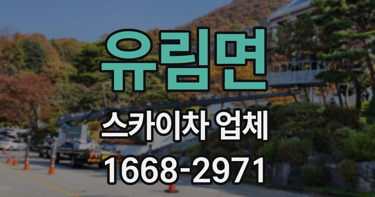 유림면 스카이차 업체